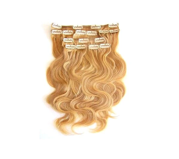 clip in
